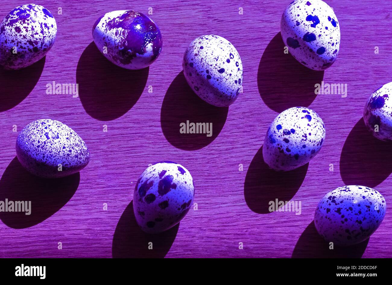 purple quail eggs