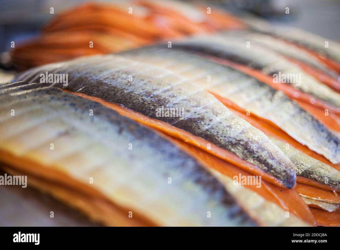Close-up of fish arranged in food processing plant Stock Photo