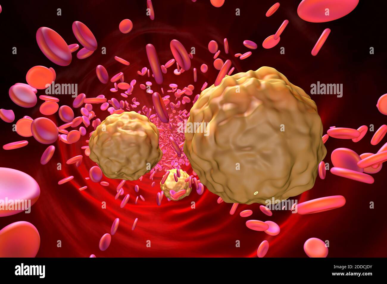 3D illustration of lymphocyte and blood cells Stock Photo