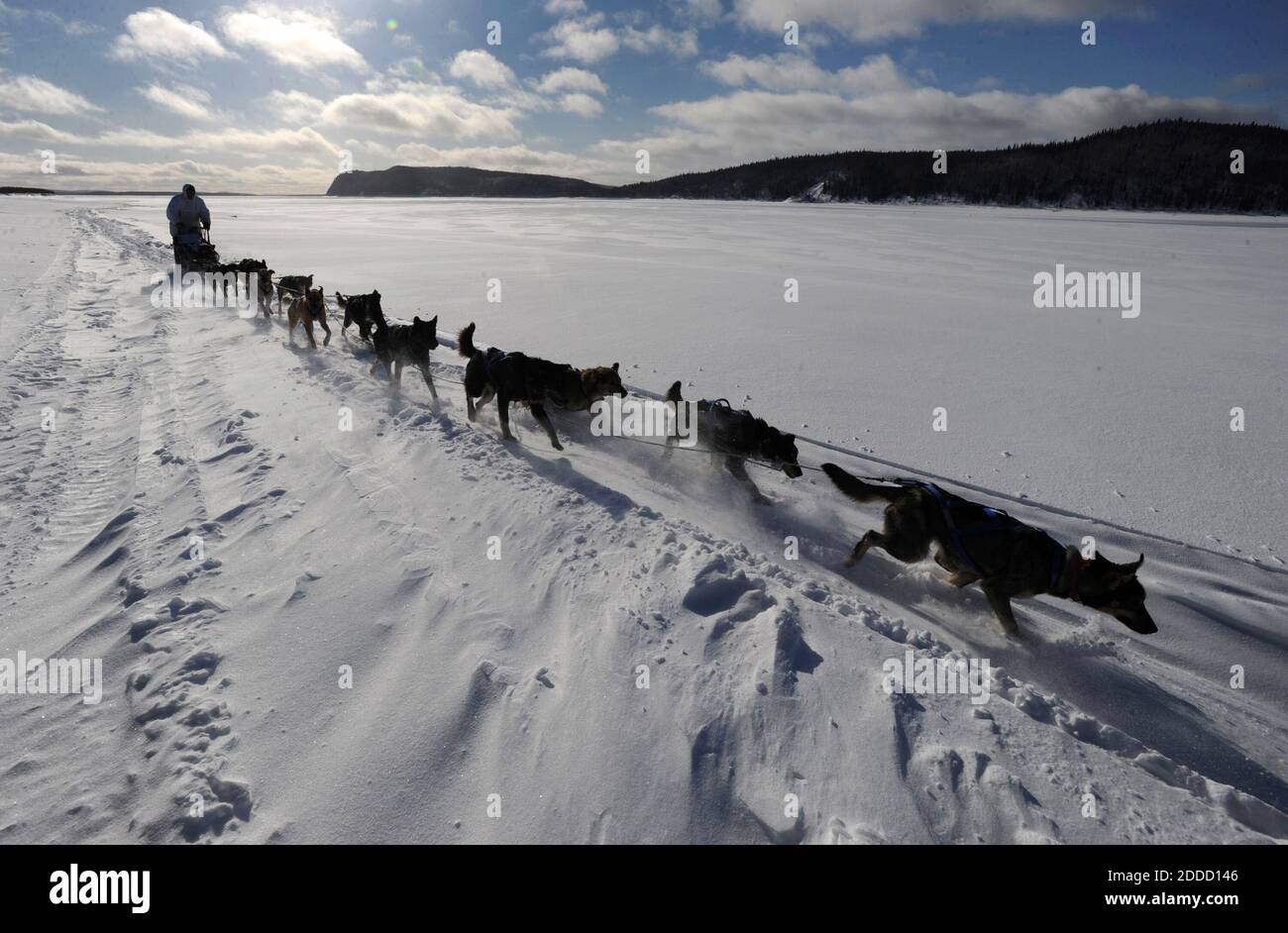 NO FILM, NO VIDEO, NO TV, NO DOCUMENTARY - Four-time Iditarod champion Martin Buser drives his dog team up the wind-swept Yukon River as he nears Kaltag, Alaska, USA on Saturday, March 9, 2013. Photo by Bill Roth/Anchorage Daily News/MCT/ABACAPRESS.COM Stock Photo