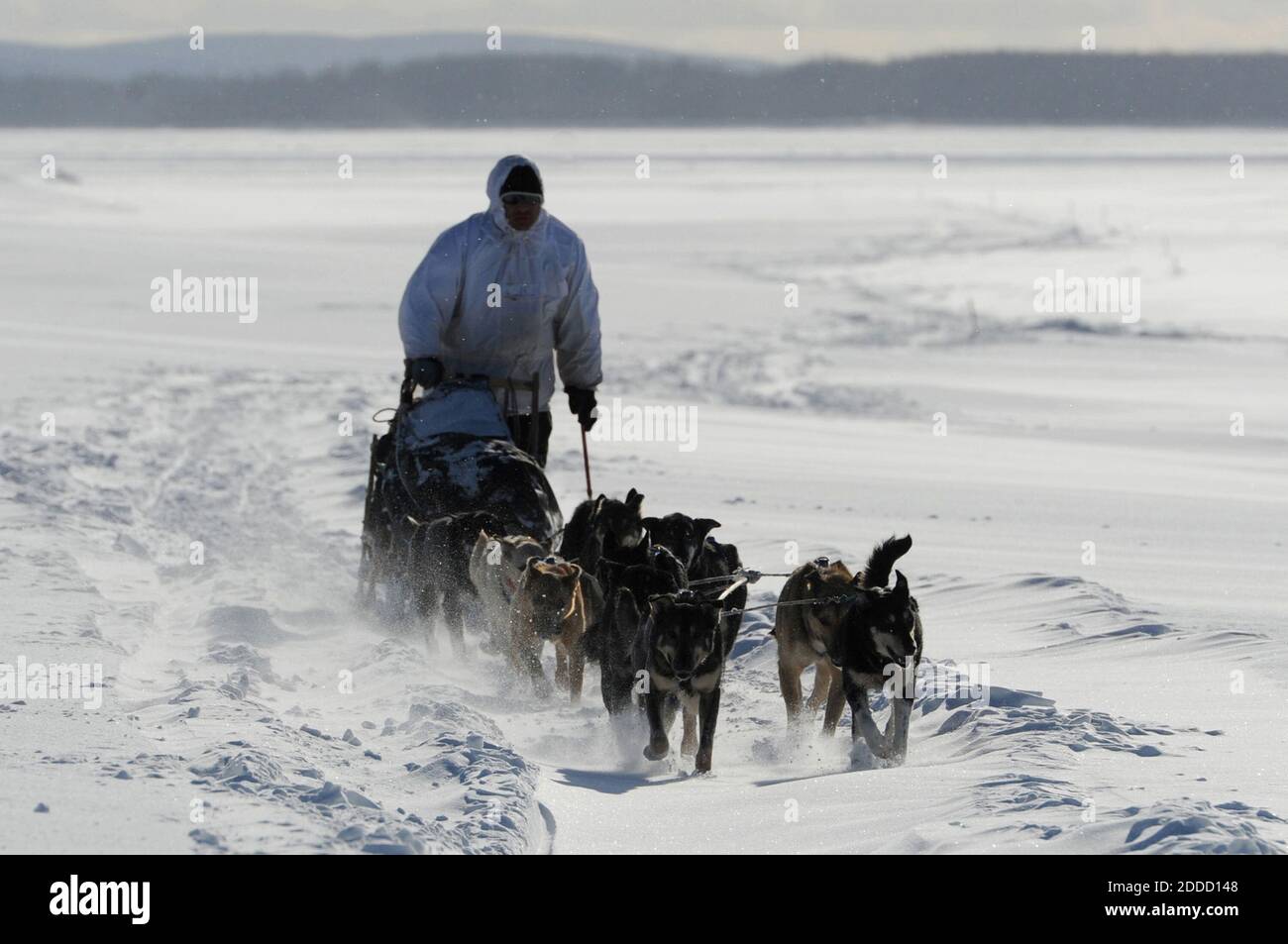 NO FILM, NO VIDEO, NO TV, NO DOCUMENTARY - Four-time Iditarod champion Martin Buser drives his dog team up the wind-swept Yukon River as he nears Kaltag, Alaska, USA on Saturday, March 9, 2013. Photo by Bill Roth/Anchorage Daily News/MCT/ABACAPRESS.COM Stock Photo