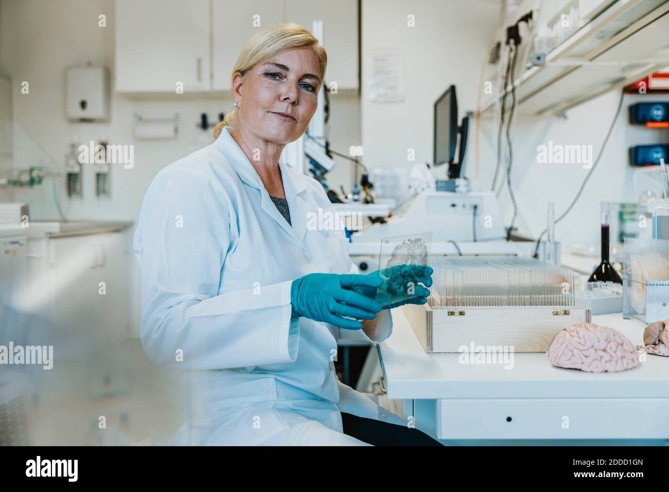 Woman studying human brain microscope slide while sitting at laboratory Stock Photo Alamy