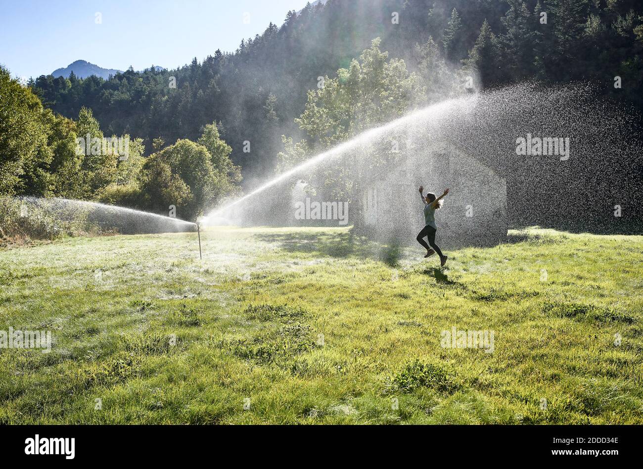 Woman jumping on grass near sprinkler during sunny day Stock Photo