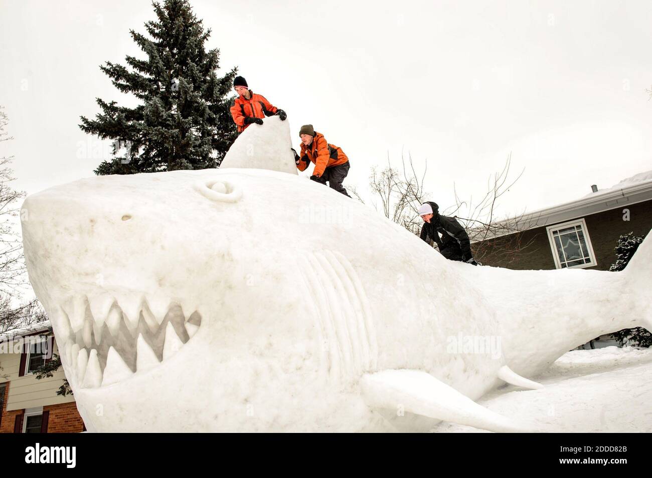 NO FILM, NO VIDEO, NO TV, NO DOCUMENTARY - Connor, from left, Trevor and Austin Bartz, seen on January 1, 2014, built a16-foot high snow shark at their New Brighton, Minneapolis, MN, USA. It took the brothers around 95 hours. Photo by Glen Stubbe/Minneapolis Star Tribune/MCT/ABACAPRESS.COM) Stock Photo