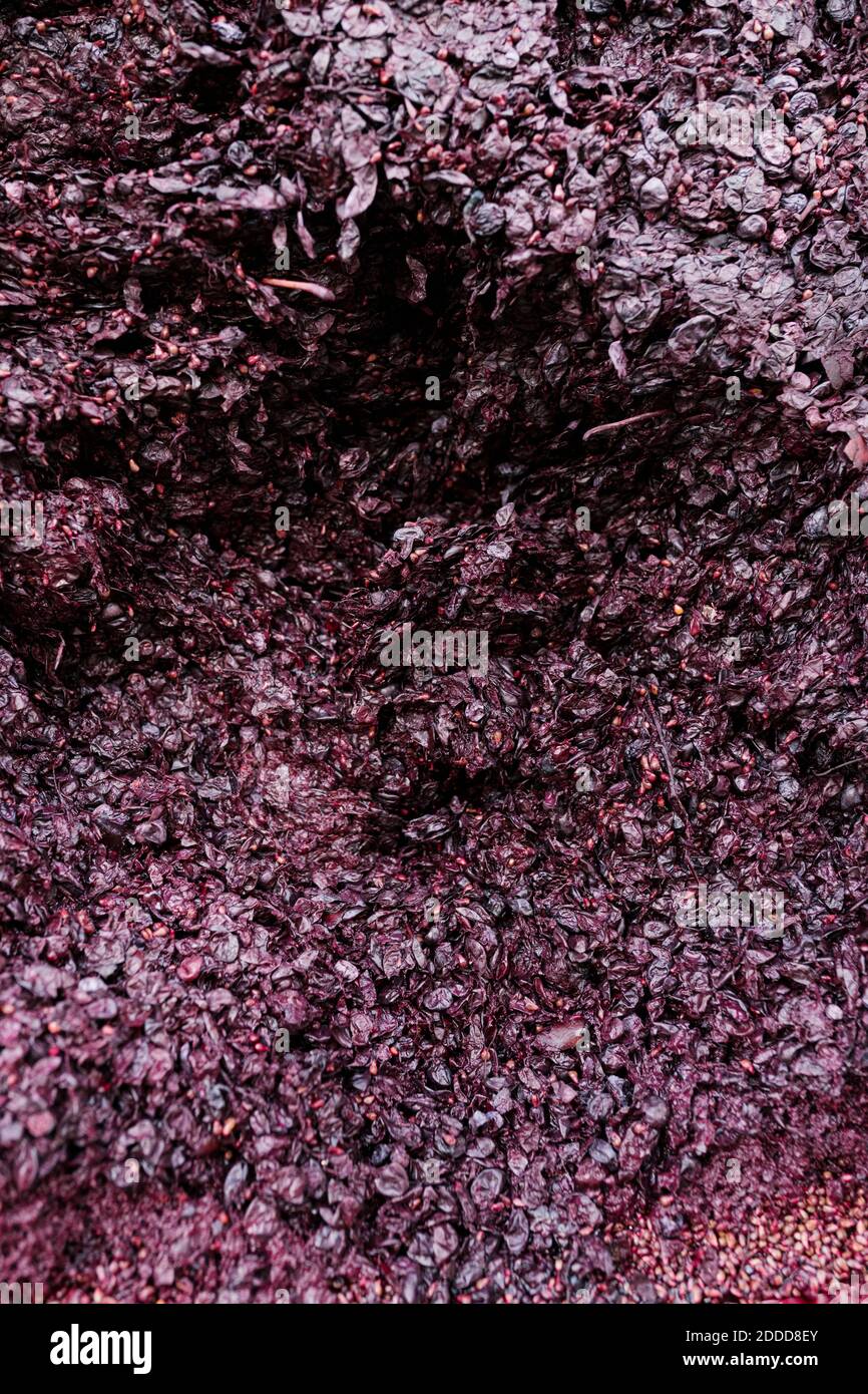 Crushed grapes at winery Stock Photo Alamy
