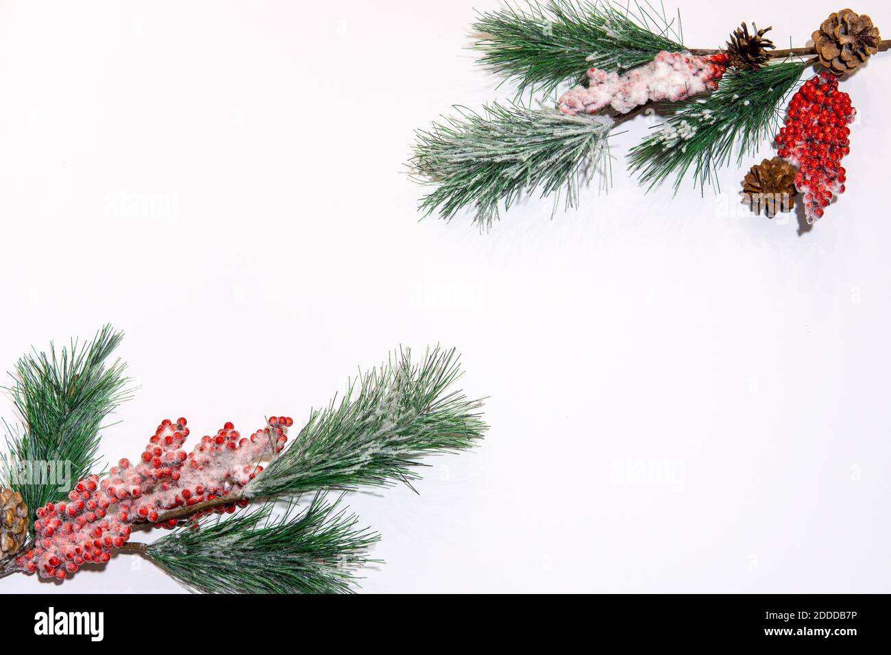 Christmas composition. Fir tree branches on white background. Christmas, winter, new year concept. Flat lay Stock Photo