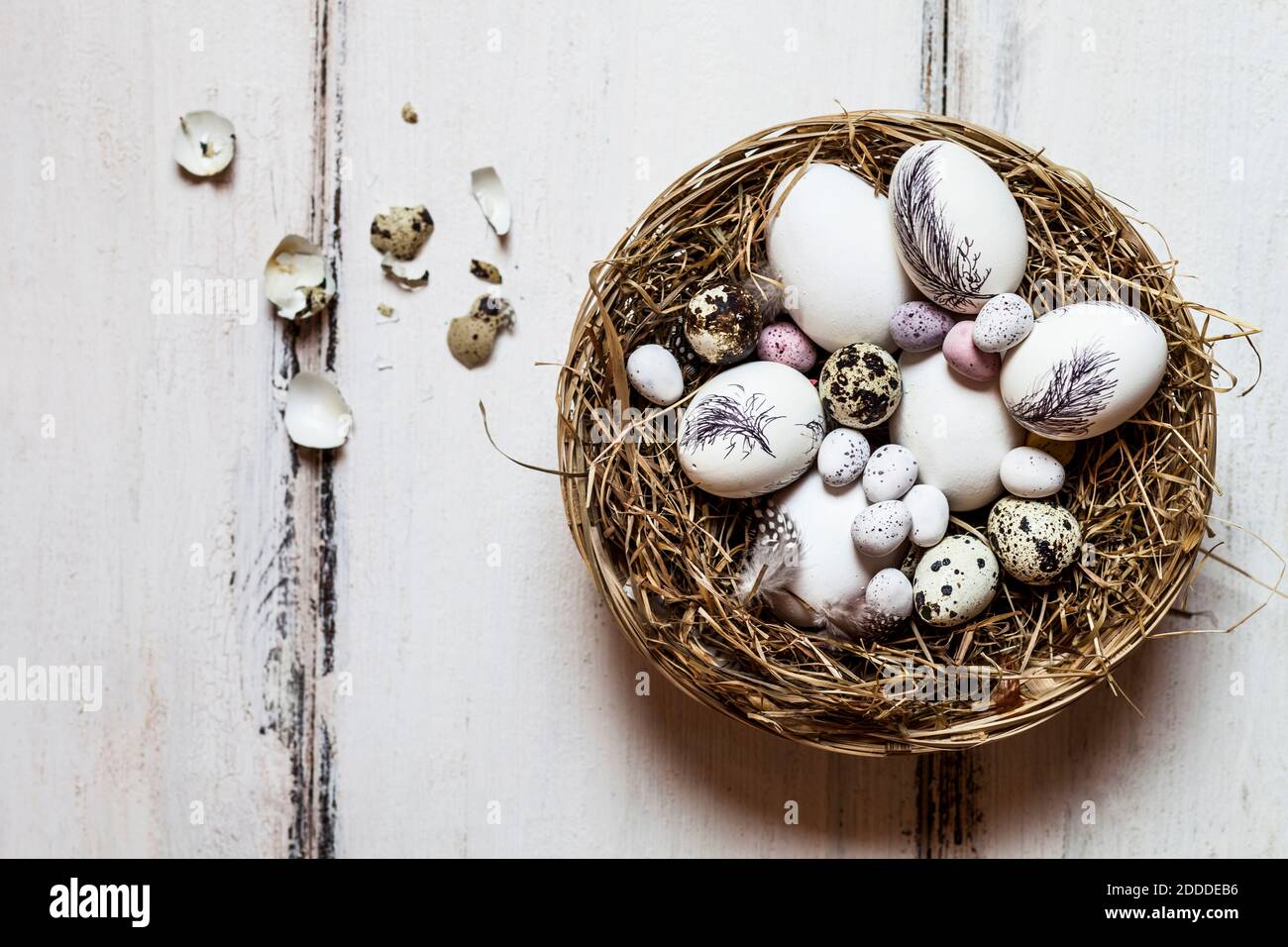 Birds nest filled with quail and Easter eggs Stock Photo