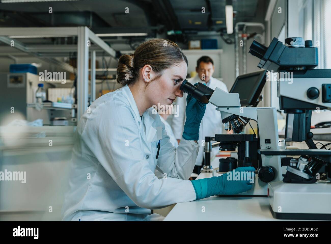 Young woman analyzing human brain microscope slide under microscope while sitting with