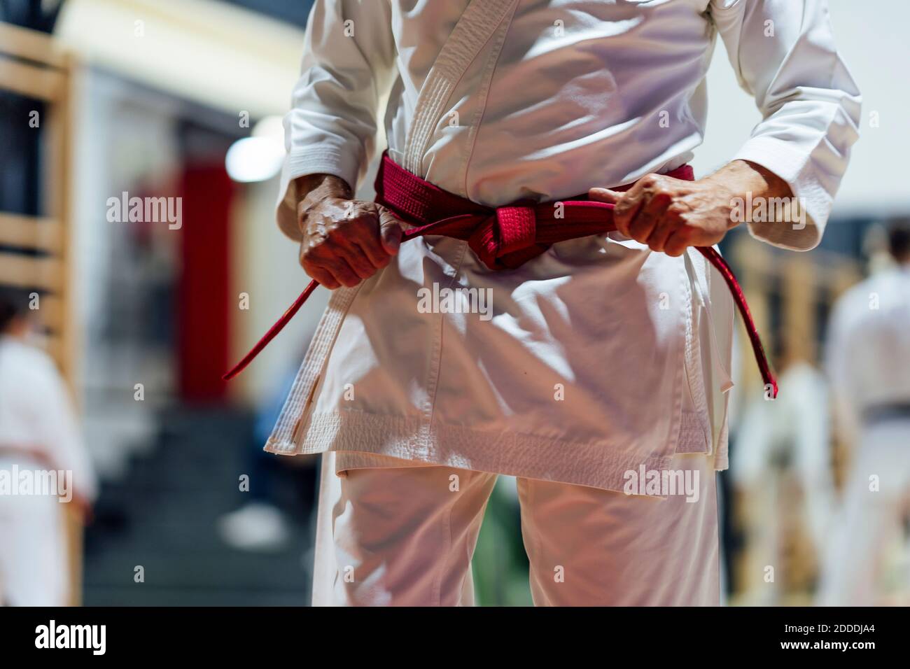 Active senior man tightening belt while practicing karate in class