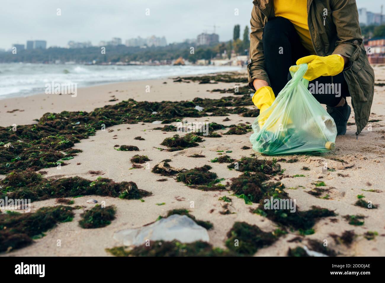 Environmentalist collecting garbage in garbage bag while crouching at beach Stock Photo