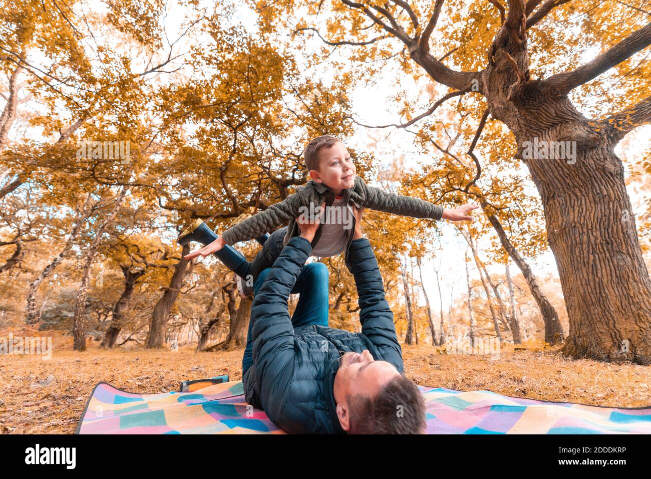 Boy imagining himself flying held by father lying on picnic blanket at park during autumn Stock Photo