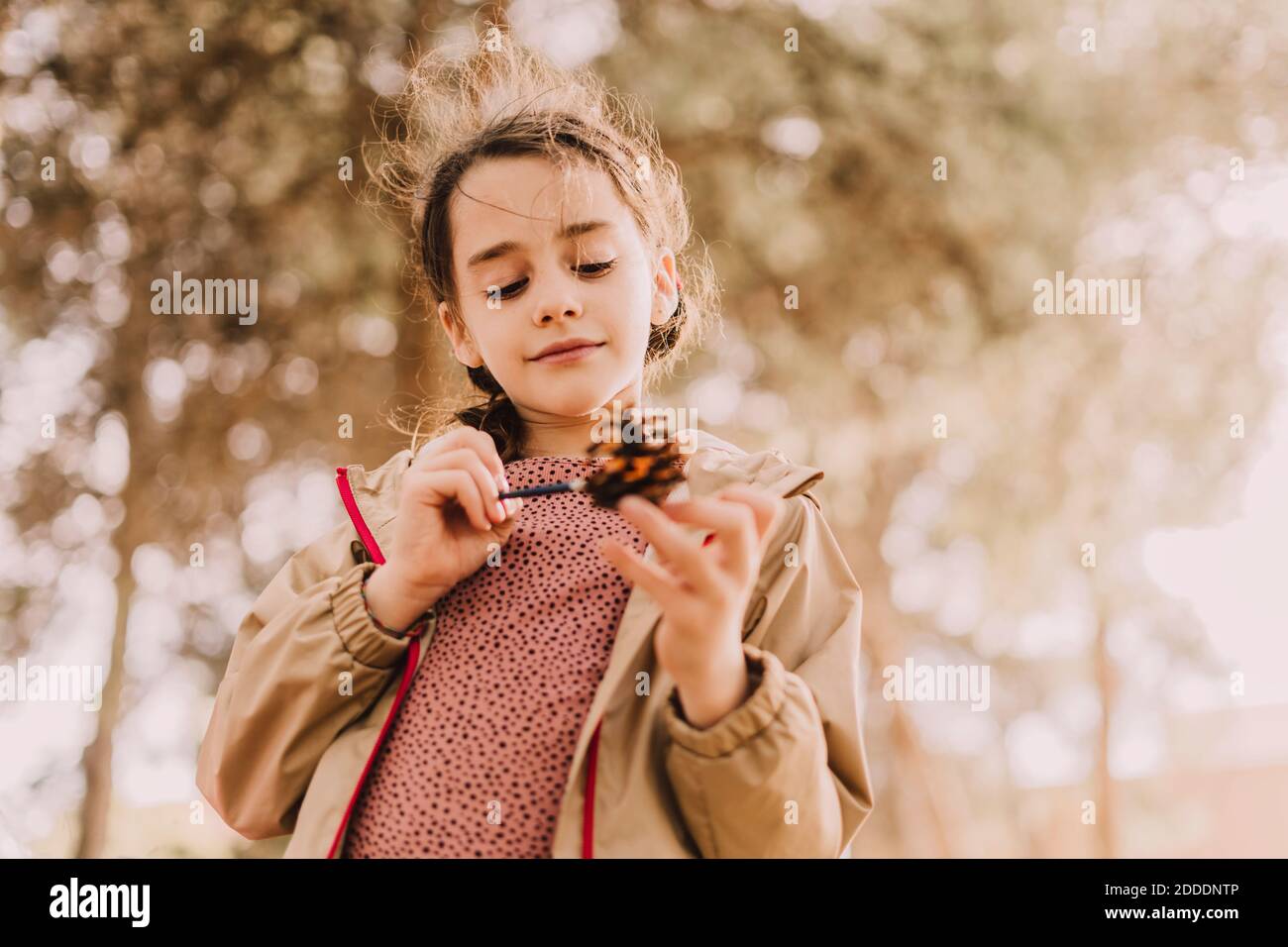 Cute girl coloring pine cone with paintbrush at park Stock Photo