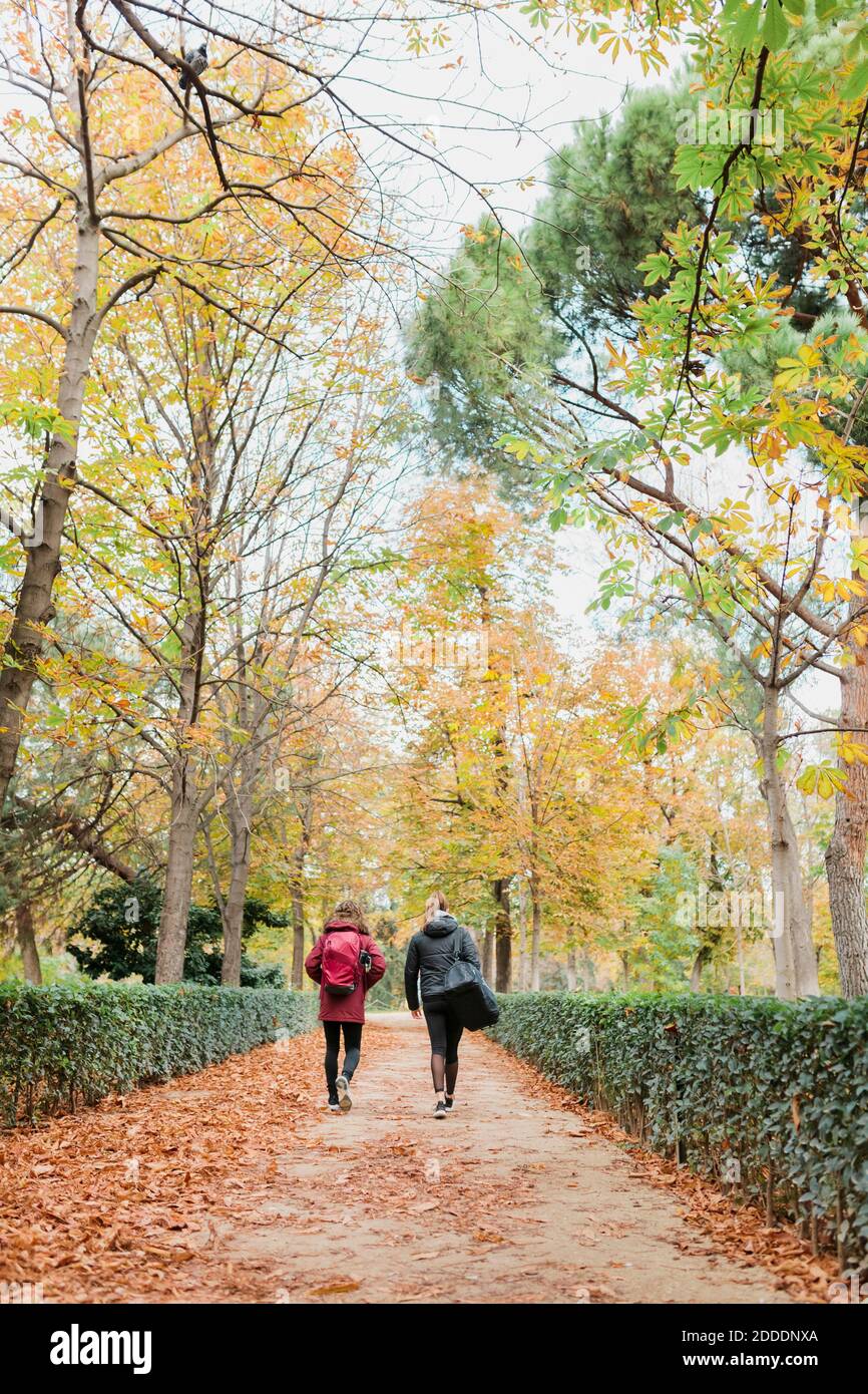 Mid adult women walking together on footpath amidst plants and trees at park during autumn Stock Photo