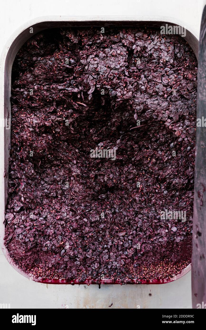 Crushed grapes in storage tank at winery Stock Photo Alamy