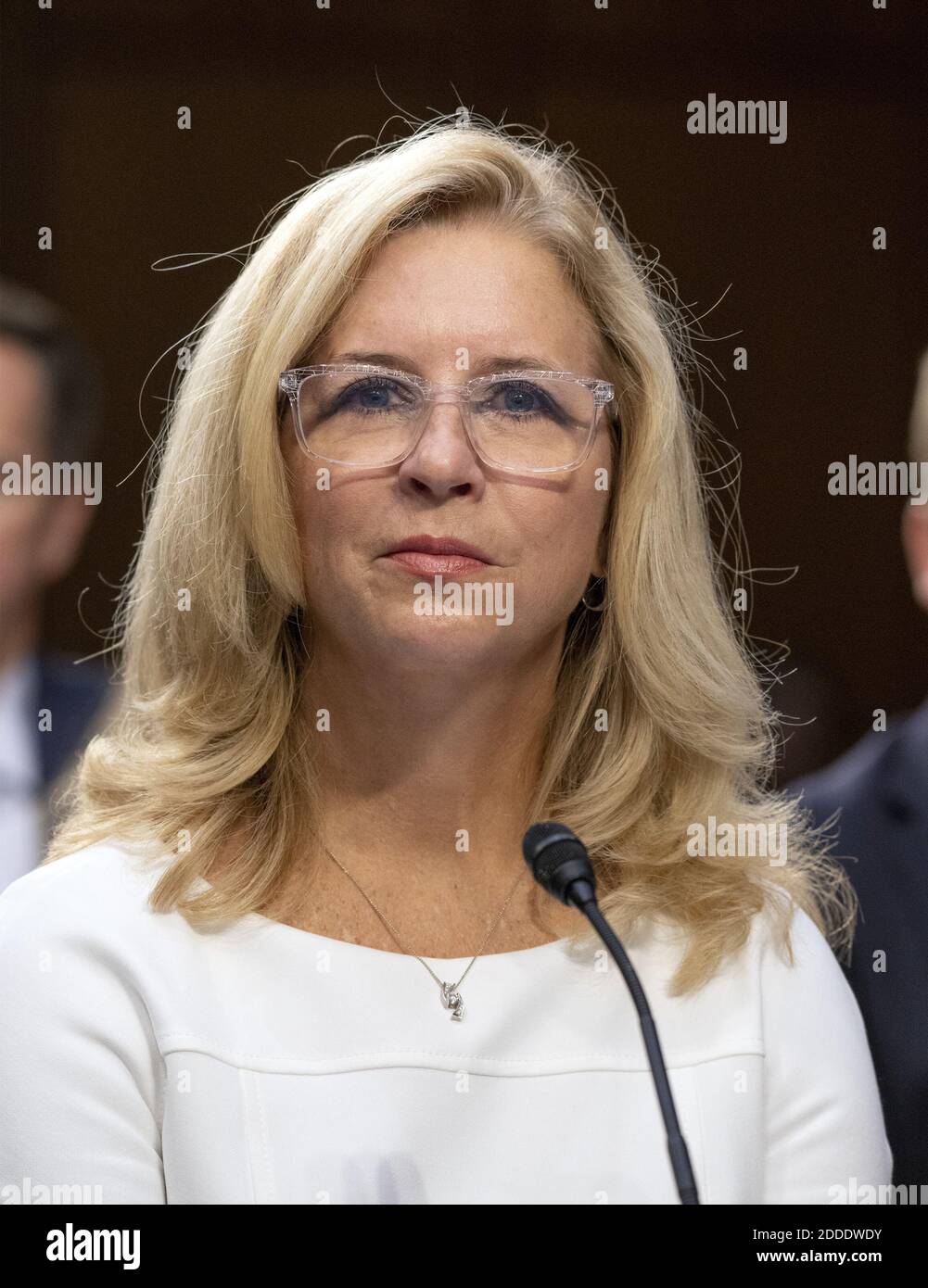 Ellen E. McCarthy testifies before the United States Senate Select Committee on Intelligence on her nomination to be an Assistant Secretary of State (Intelligence and Research), on Capitol Hill in Washington, DC, USA, on Wednesday, July 25, 2018. Photo by Ron Sachs/CNP/ABACAPRESS.COM Stock Photo