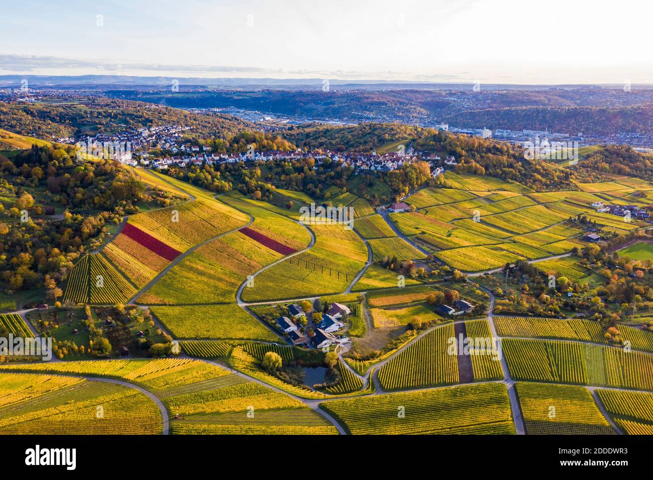 Germany, Baden-Wurttemberg, Rotenberg, Aerial view of vast countryside vineyards at autumn dusk Stock Photo