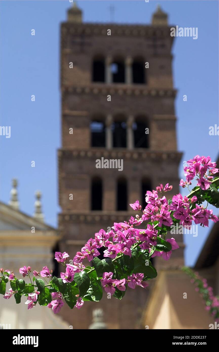 Roma, Rom, Italy, Italien; Santa Cecilia in Trastevere; 圣则济利亚圣殿 A branch of a pink Bougainvillea against the background of the church tower. Stock Photo