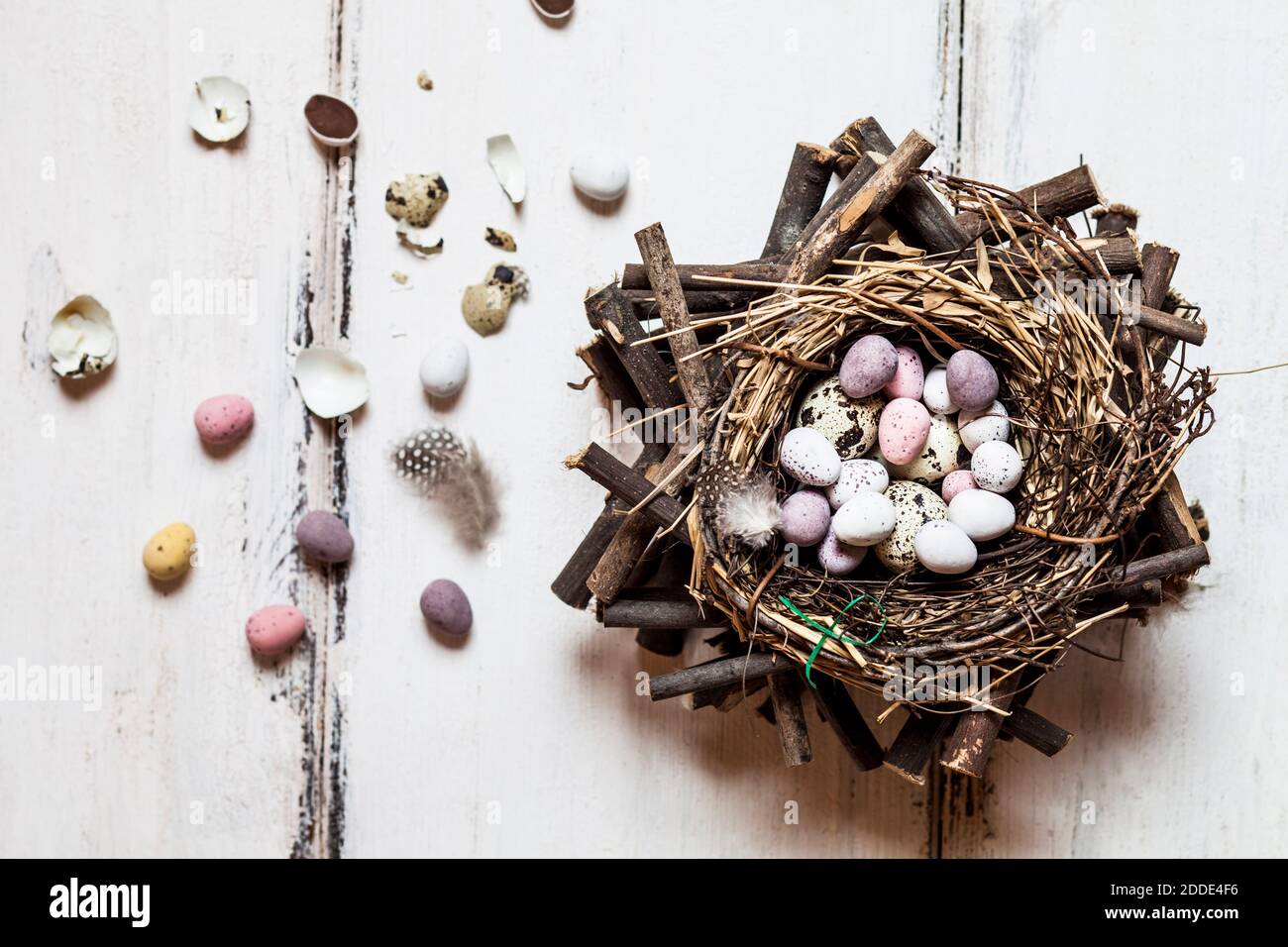 Birds nest filled with quail and Easter eggs Stock Photo