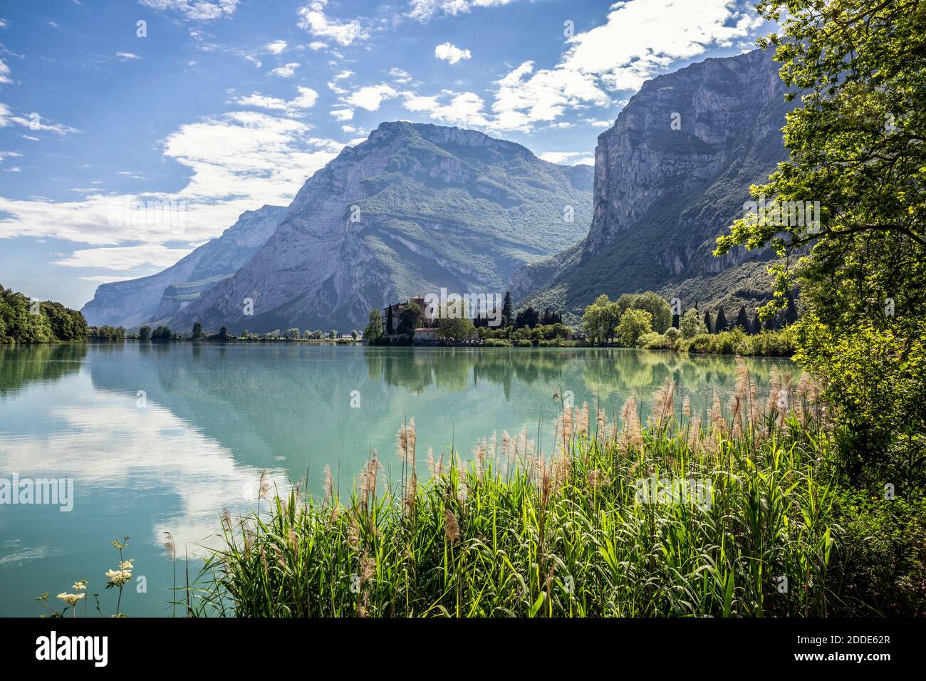 Italy, Trentino, Reeds growing on shore of Lago di Toblino in summer with Castel Toblino in background Stock Photo