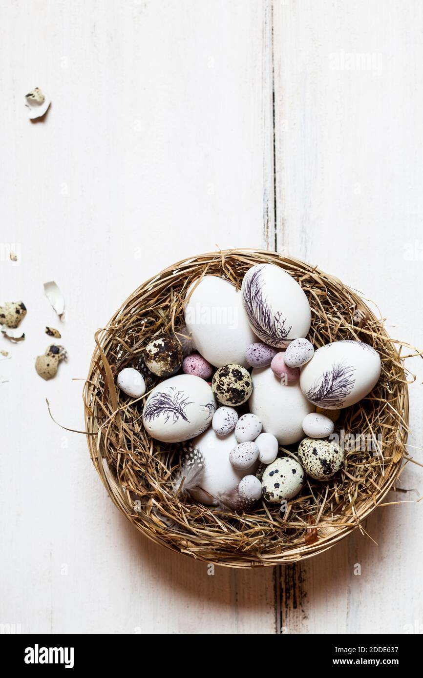 Birds nest filled with quail and Easter eggs Stock Photo