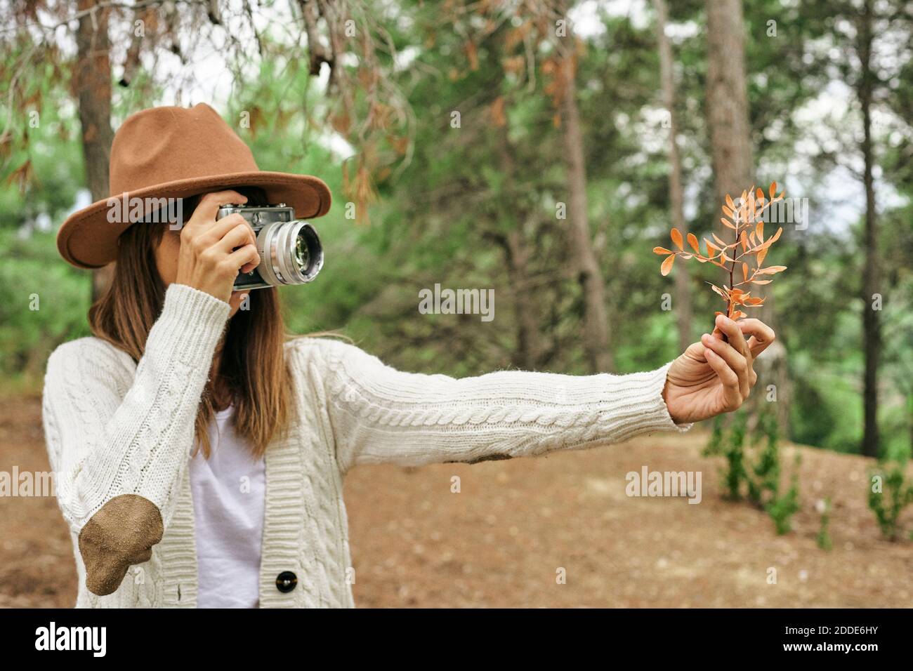 Woman photographing Pistacia Lentiscus leaves through vintage camera in forest Stock Photo