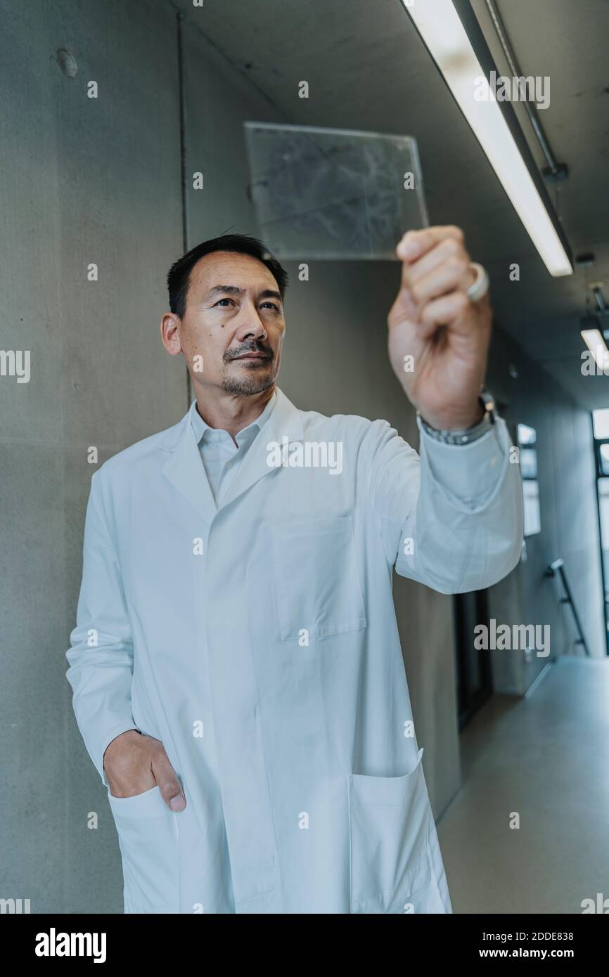 Scientist with hand in pocket examining human brain glass sample while standing at clinic corridor Stock Photo