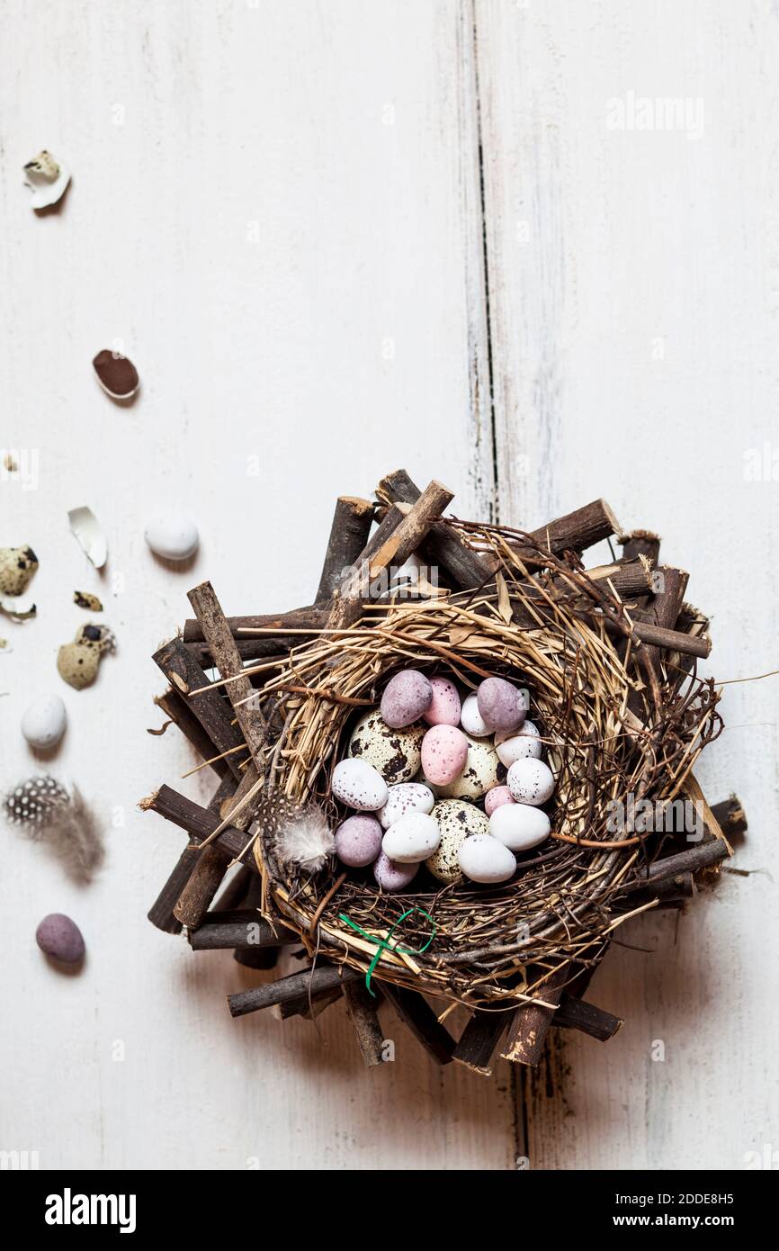 Birds nest filled with quail and Easter eggs Stock Photo