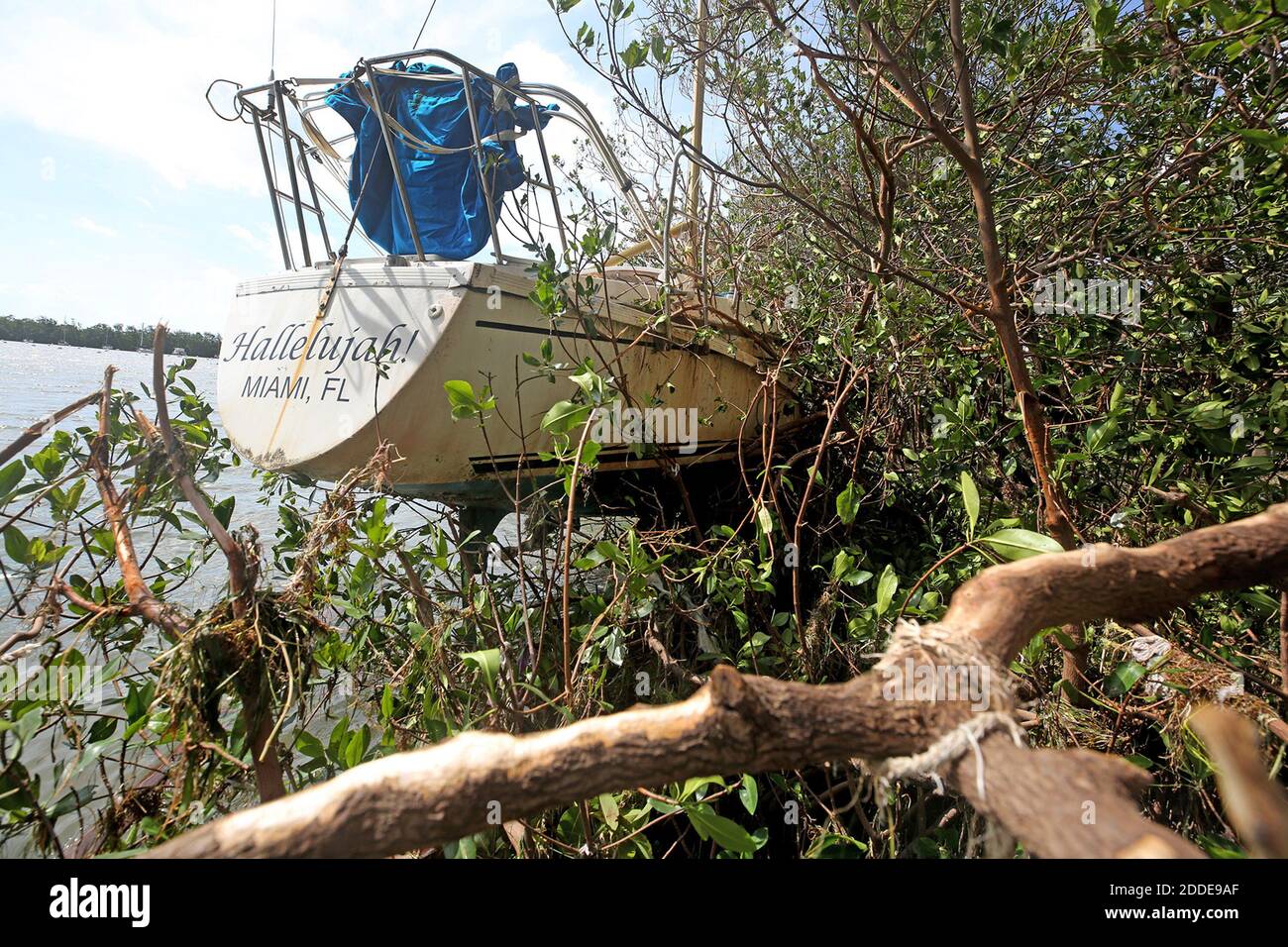 NO FILM, NO VIDEO, NO TV, NO DOCUMENTARY - The sailboat Hallelujah came to rest in the mangroves off of Dinner Key in Miami, FL, USA after Hurricane Irma on Monday, September 11, 2017. Photo by Mike Stocker/Sun Sentinel/TNS/ABACAPRESS.COM Stock Photo
