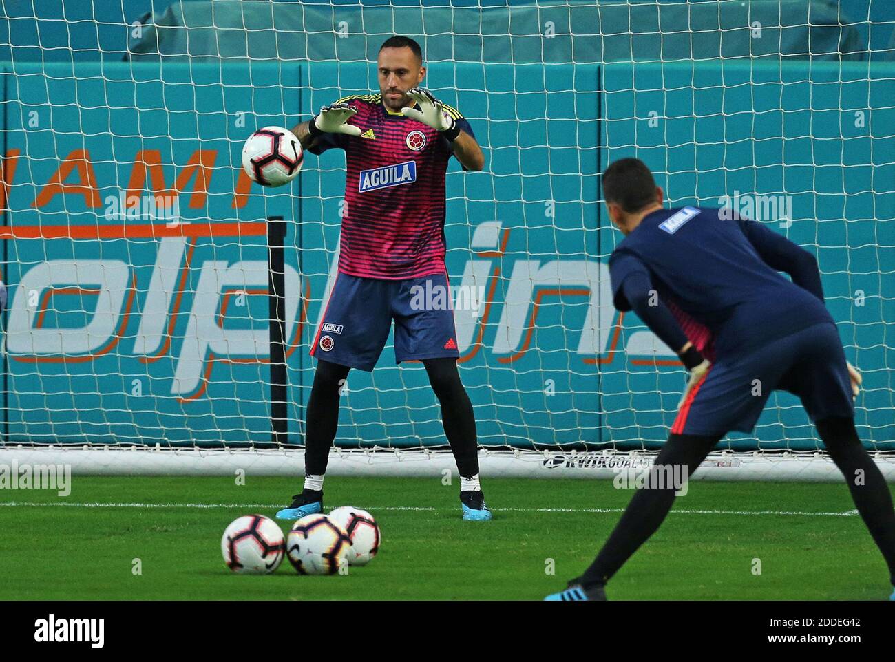 NO FILM, NO VIDEO, NO TV, NO DOCUMENTARY - Colombia national soccer team goalkeeper David Ospina during practice on Thursday, September 5, 2019, at Hard Rock Stadium in Miami Gardens, FL, USA, in preparation for international friendly match set on Friday night against Brazil. Photo by David Santiago/Miami Herald/TNS/ABACAPRESS.COM Stock Photo