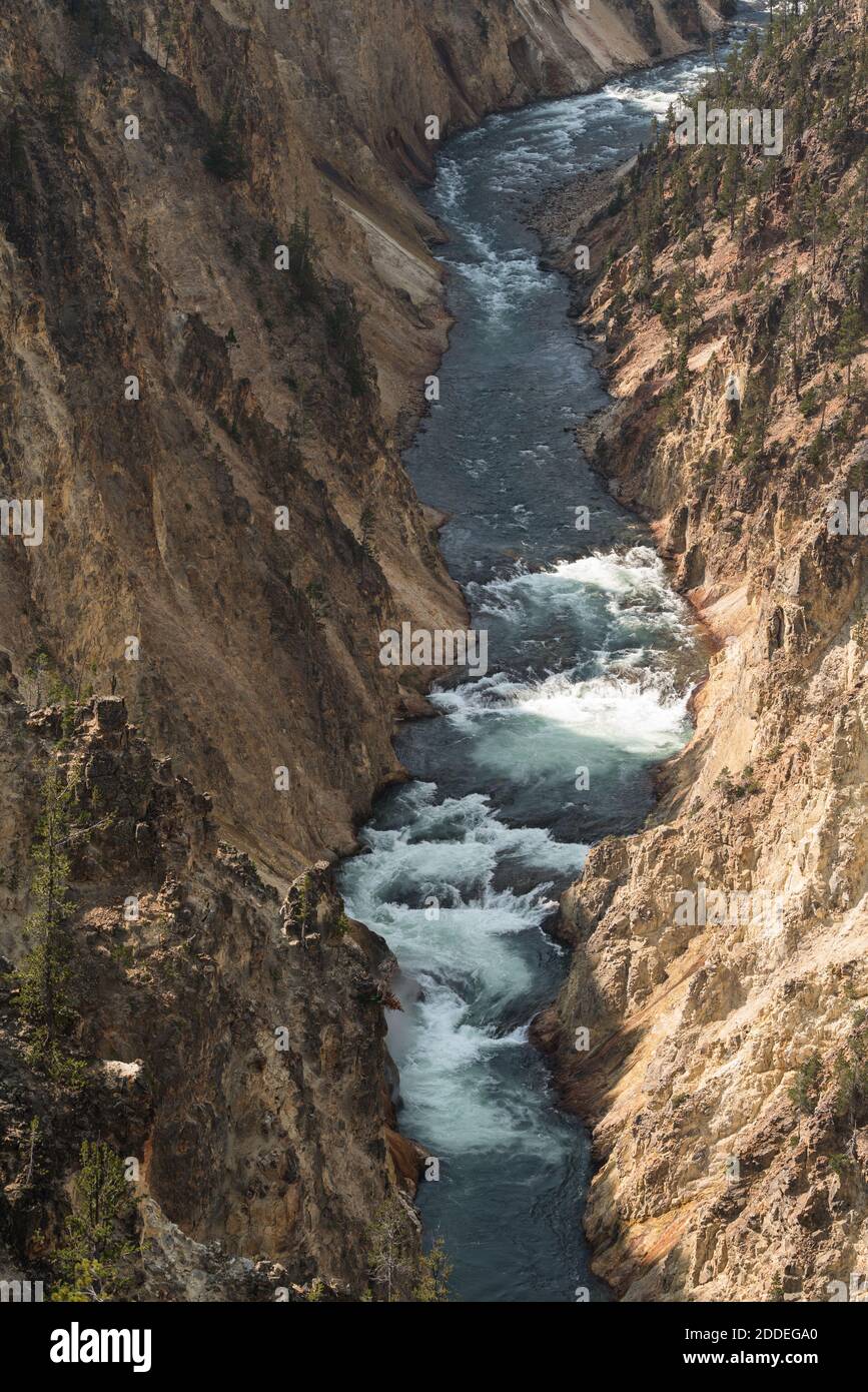 Rapids on the Yellowstone River in the Grand Canyon of the Yellowstone, Yellowstone National Park, Wyoming, USA. Stock Photo