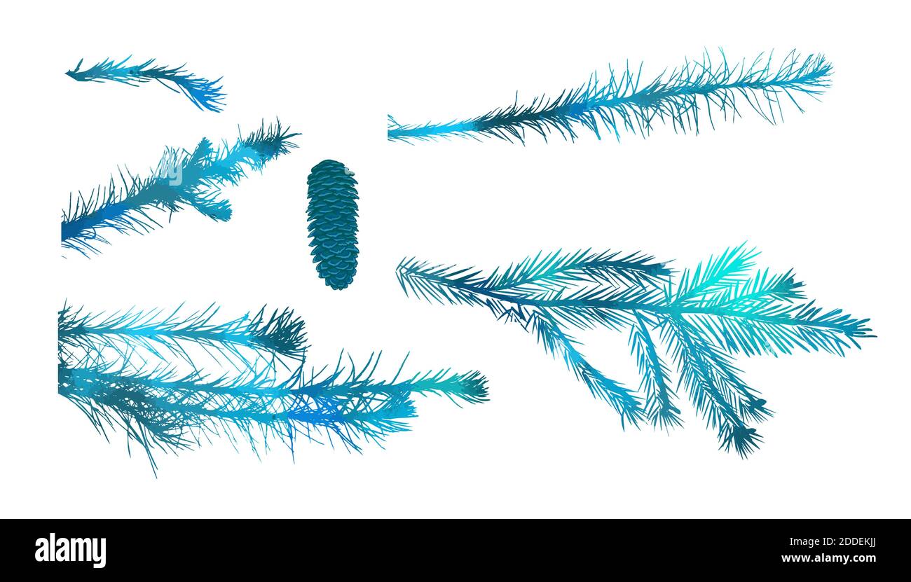 set of fir branch on white background. vector illustration Stock Vector ...