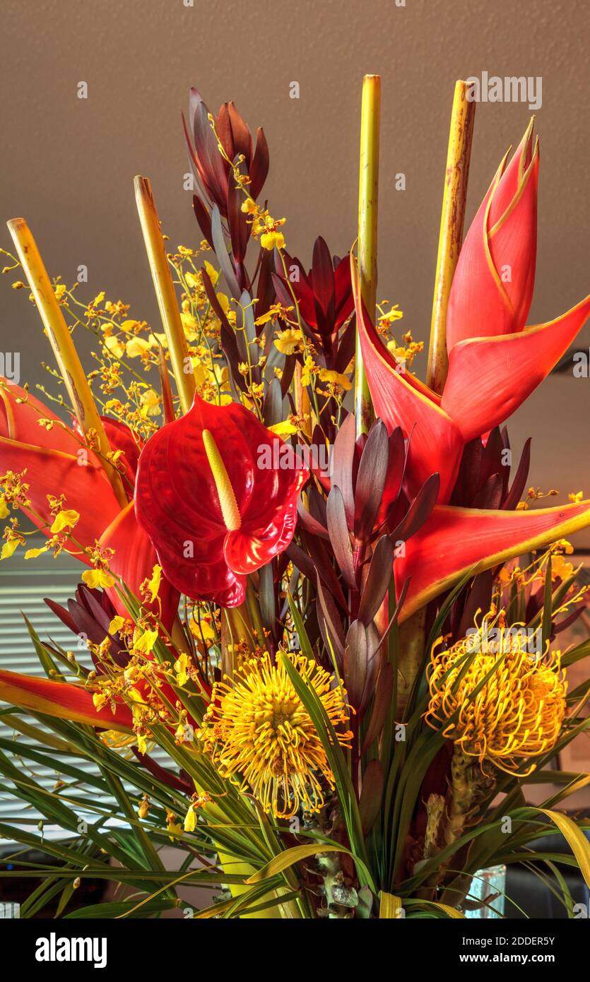 Tropical bouquet of flowers including Heliconia bihai, yellow oncidium orchids, yellow pincushion protea, and red anthuriums. Stock Photo