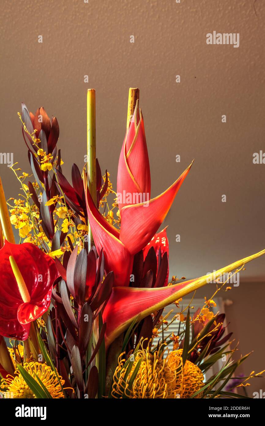Tropical bouquet of flowers including Heliconia bihai, yellow oncidium orchids, yellow pincushion protea, and red anthuriums. Stock Photo