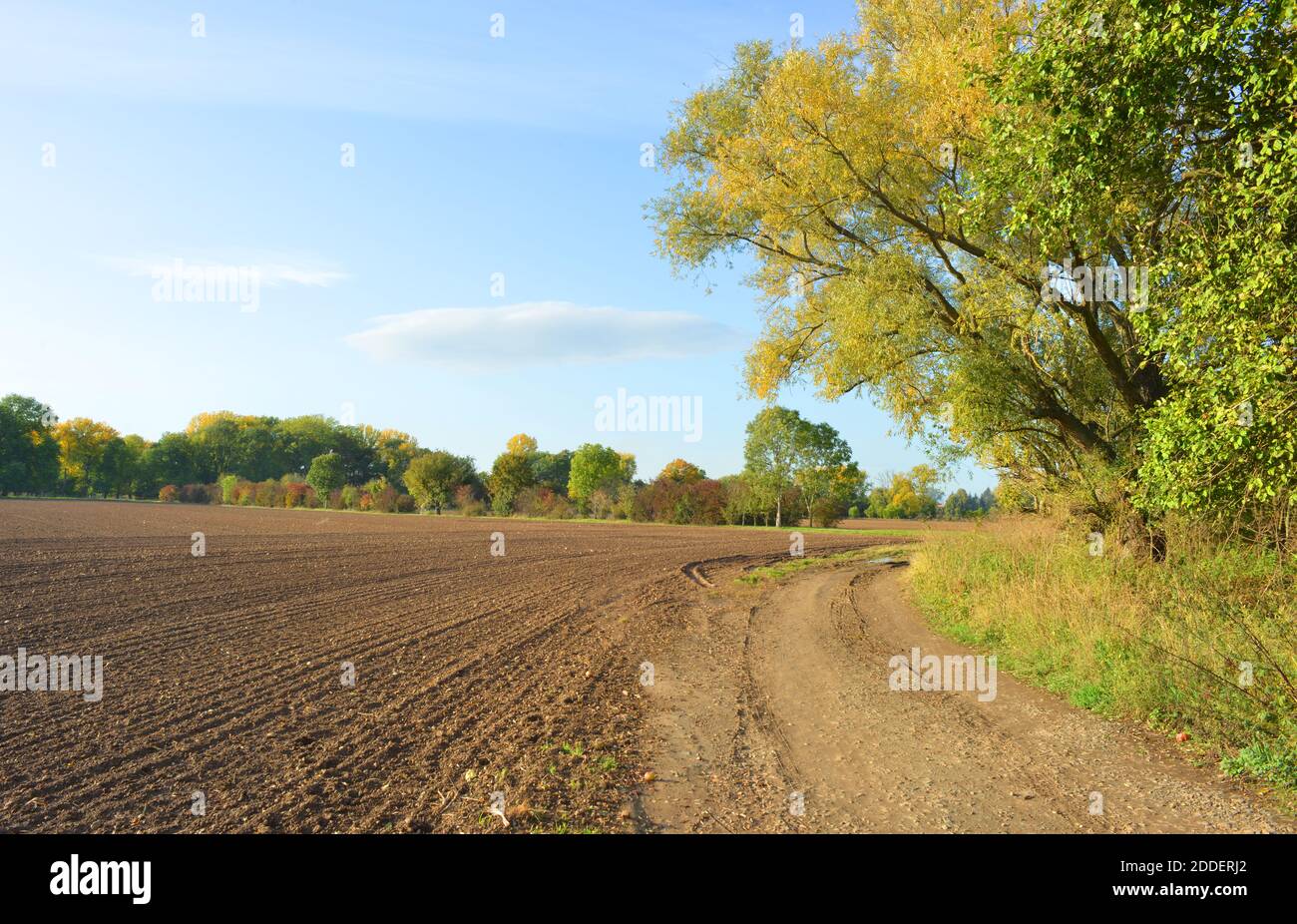 Field and nature in fall Stock Photo