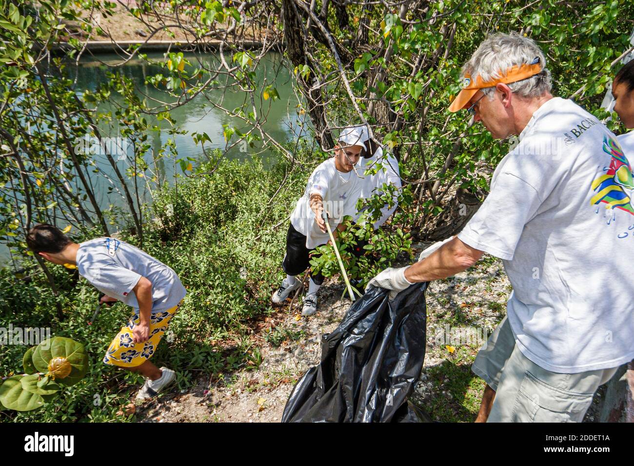 Miami Beach Florida,Dade Canal teenagers teens students,Job Corps workers volunteers cleaning collecting collect trash,boys senior man plastic bag rea Stock Photo