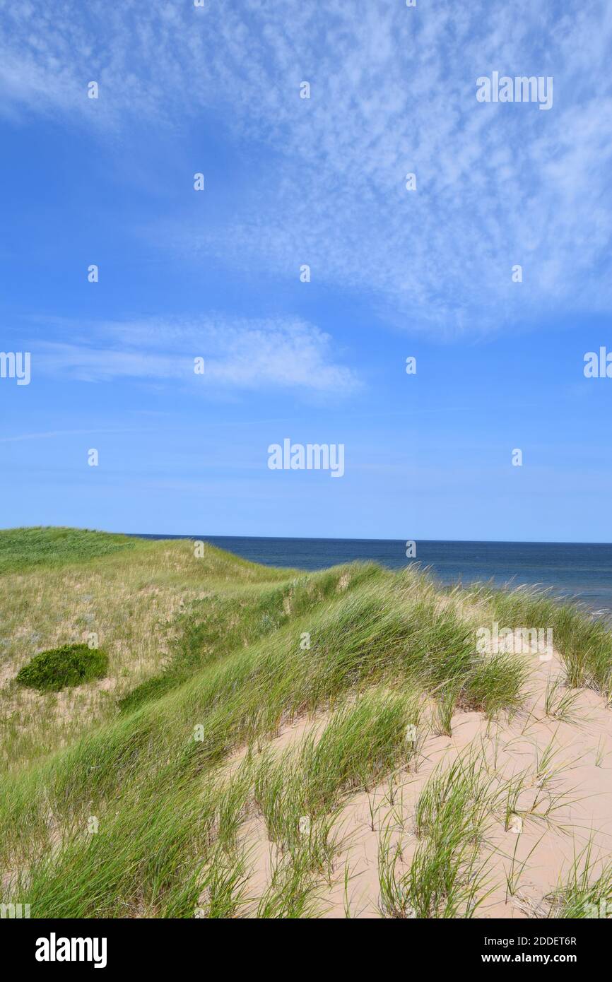 sand dune beach with grass Prince Edward Island, Canada in summer Stock Photo