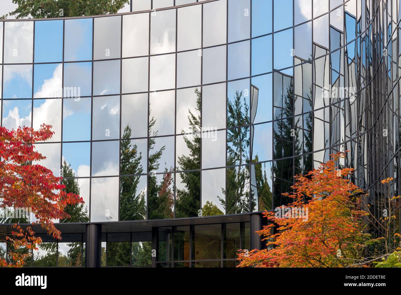 Autumn foliage is reflected in the windows of an office building Stock ...