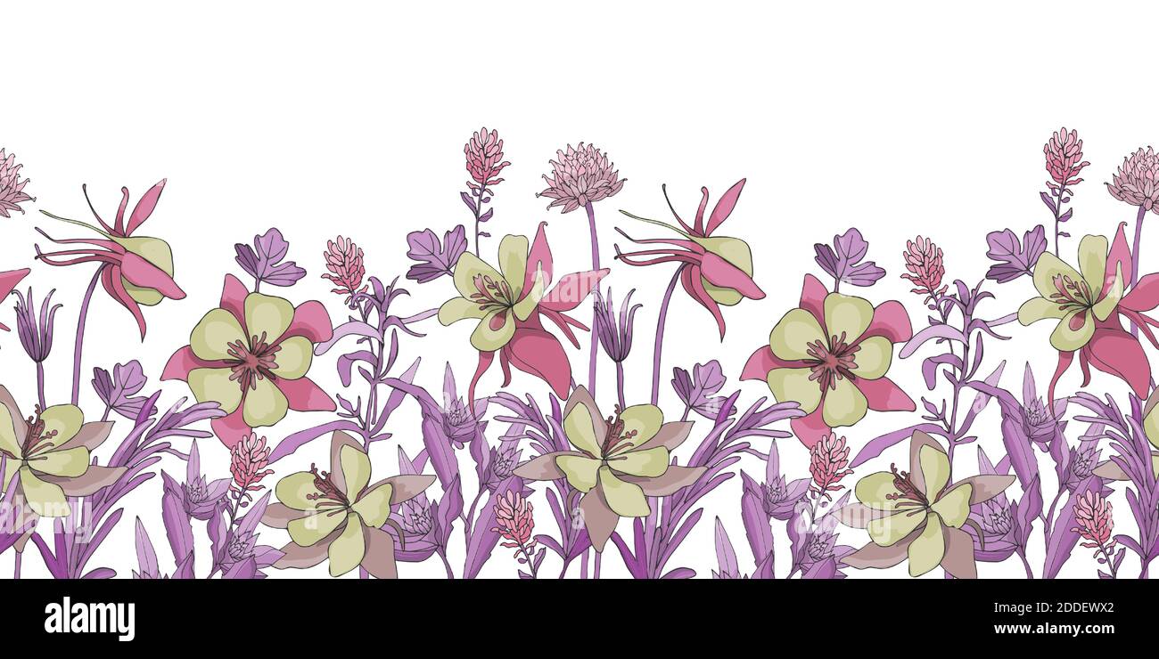 Vector floral seamless border. Flower background. Seamless pattern. Stock Vector