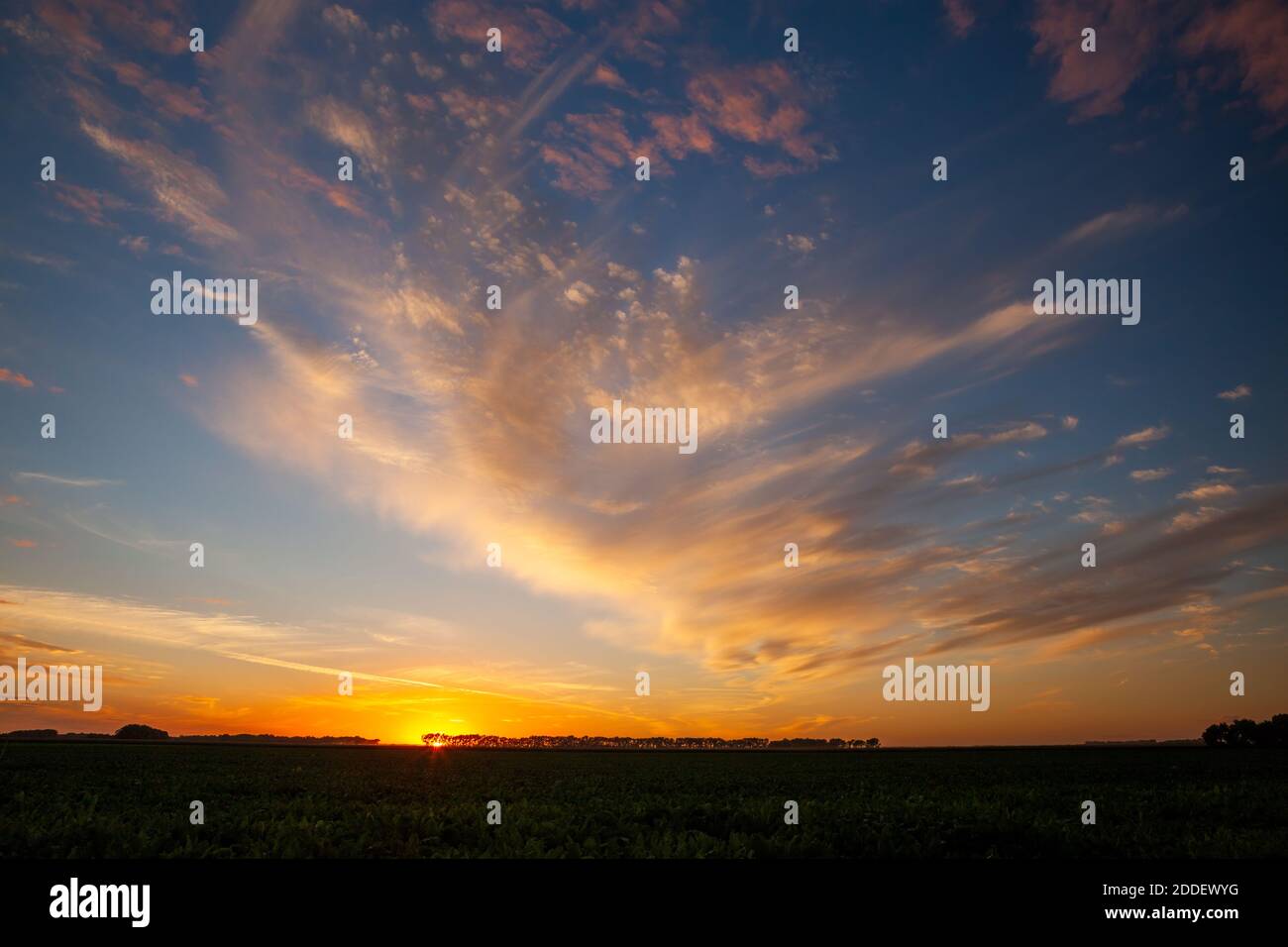 Dramatic sunset, Grand Forks County, North Dakota Stock Photo - Alamy