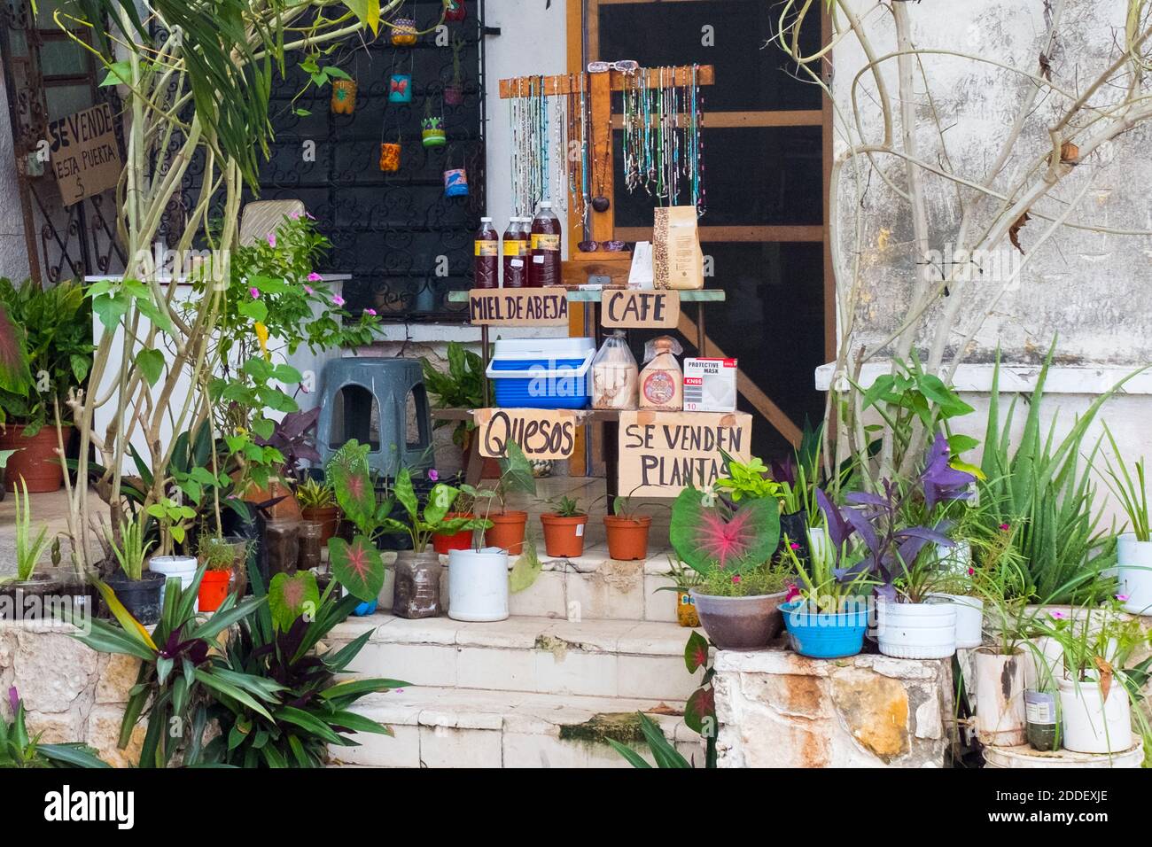 Selling organic products in front of a house, Merida, Mexico Stock Photo