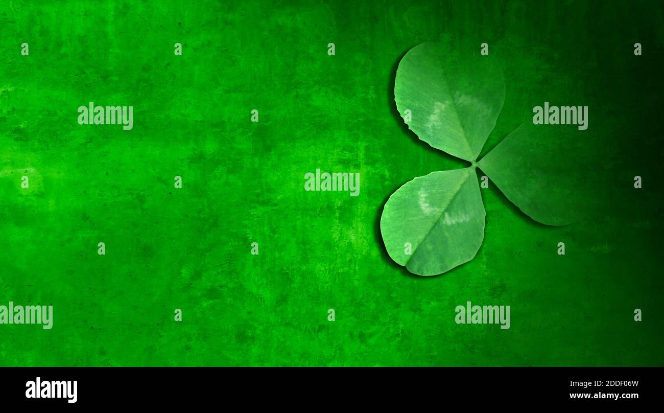 Green shamrock as a three leaf clover background as a St Patricks day symbol and seasonal spring icon of Irish tradition celebration in a 3D render. Stock Photo