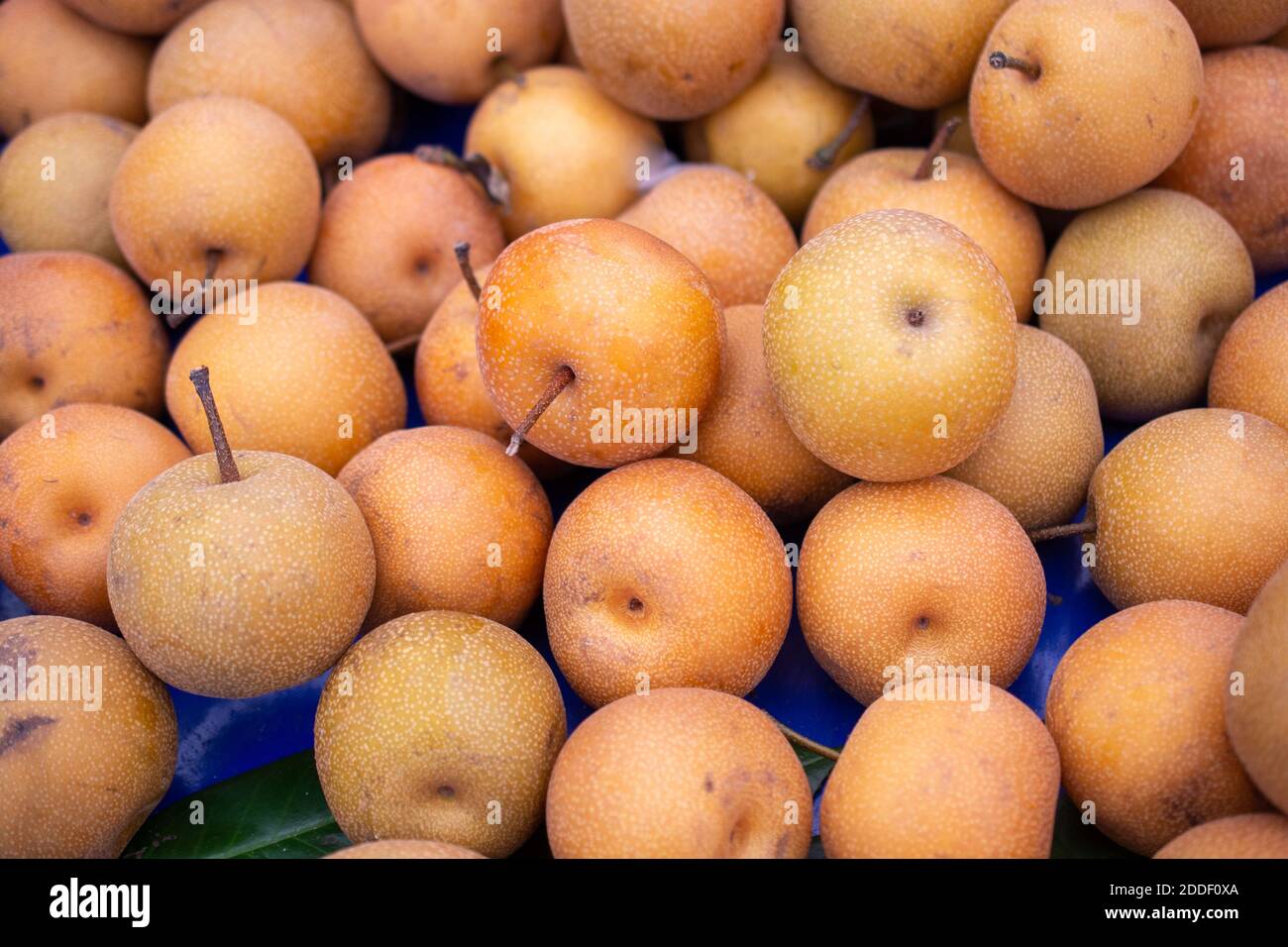 Organic market fresh Pears on an agricultural market. Image of fruit