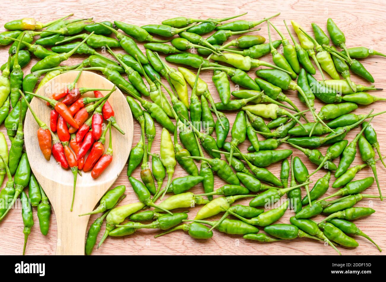Cayenne pepper, chili spur pepper, long fed pepper, spur pepper,Chilli