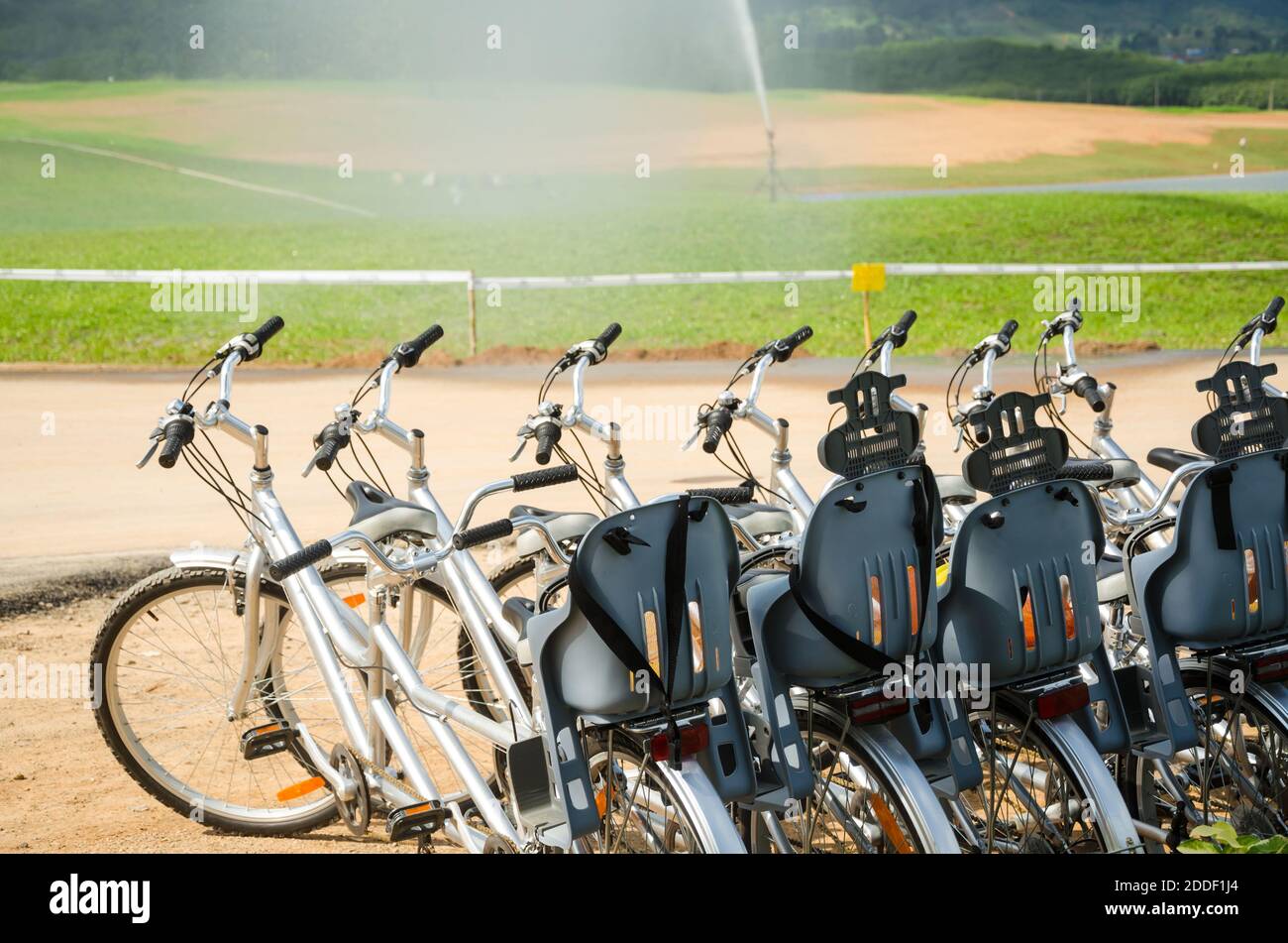tandem bike in garden Stock Photo Alamy