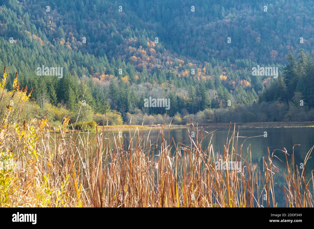autumn landscape with forest on the mountains and lake. Selective focus, travel photo, nobody. Stock Photo