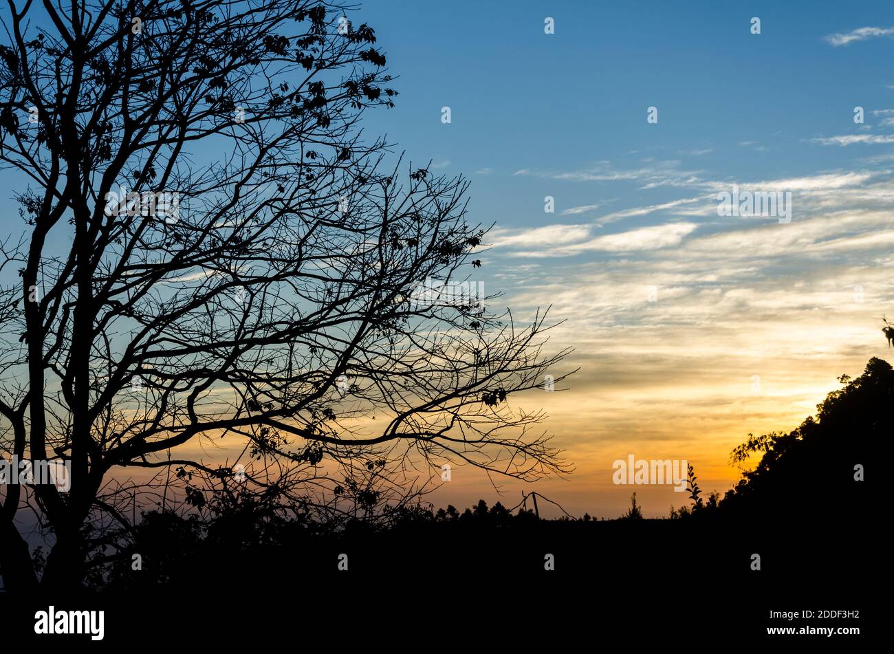 morning sunrise with tree and mountains silhouette Stock Photo - Alamy
