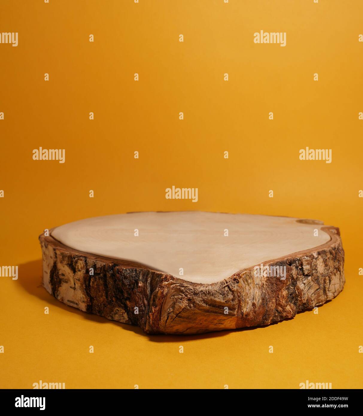 Product display in the form of a birch cut on yellow background, natural podium for your product Stock Photo