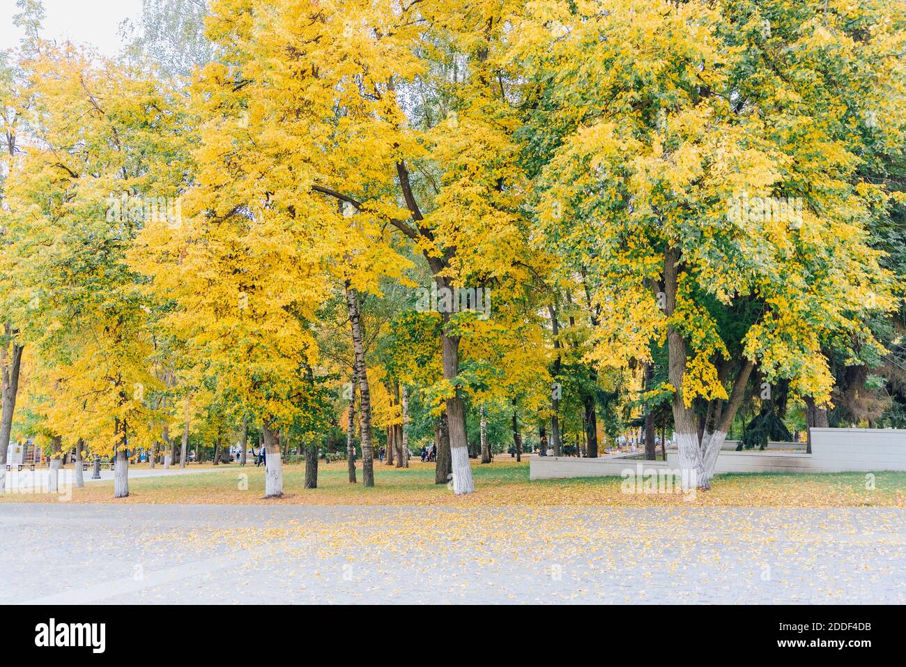 Alley in the autumn Park with a path made of paving stones Stock Photo ...