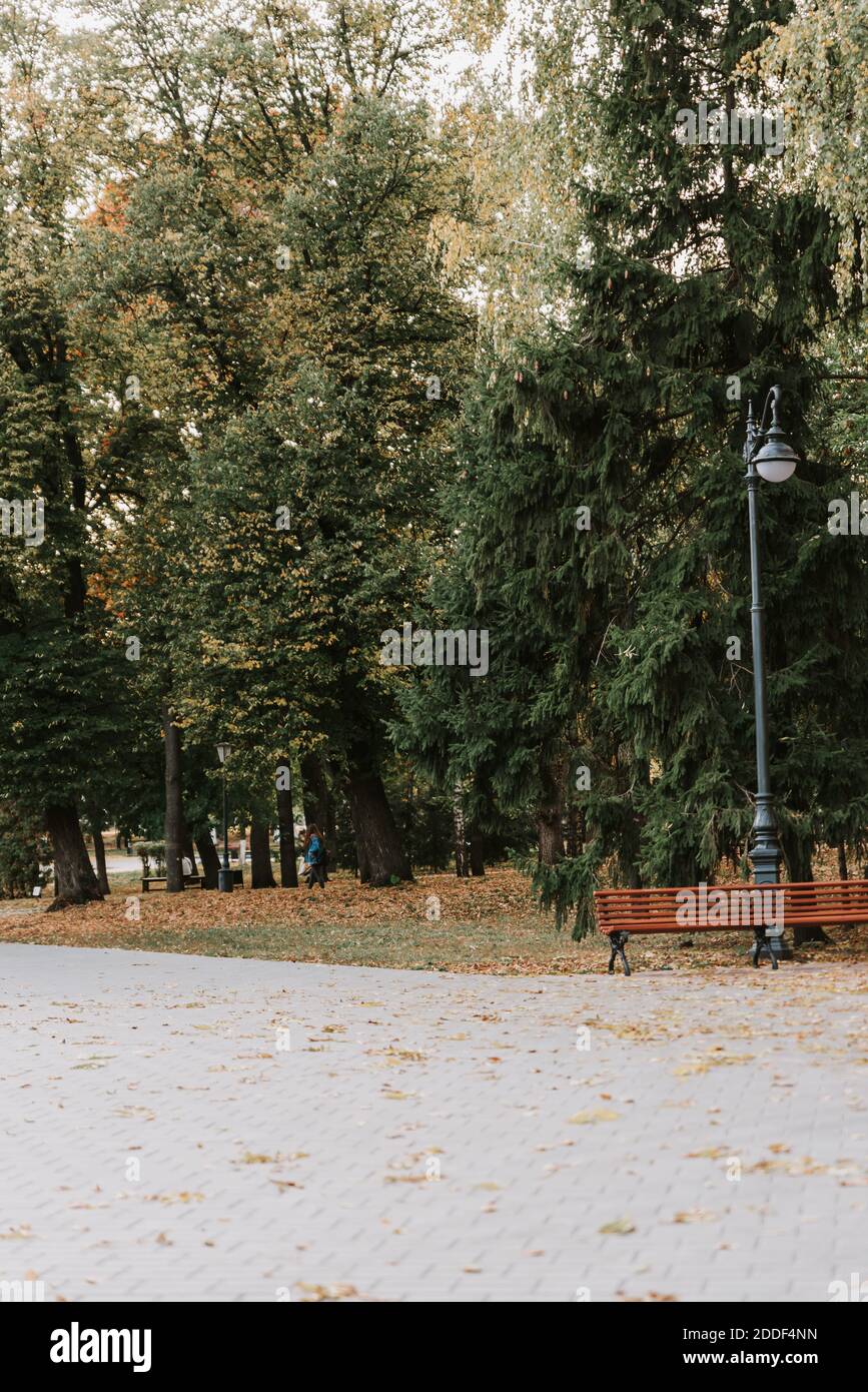 Alley in the autumn Park with a path made of paving stones Stock Photo ...