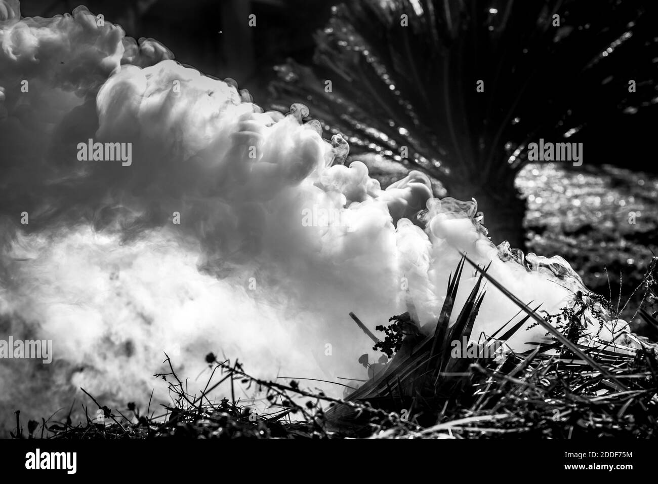Fire smoke in the countryside Stock Photo Alamy